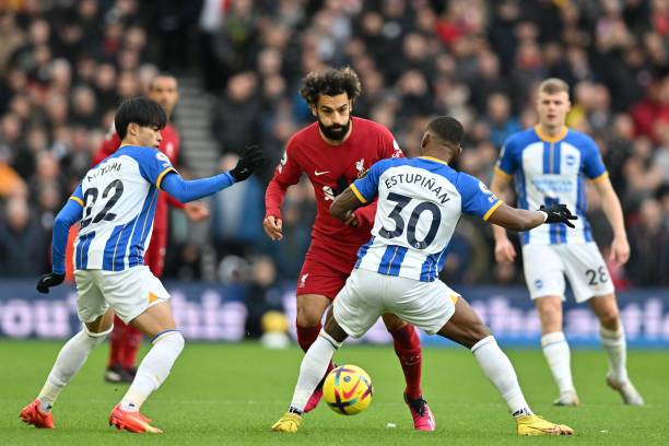 的年轻球员 的年轻球员