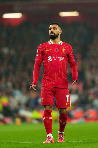 这一建议引 这一建议引